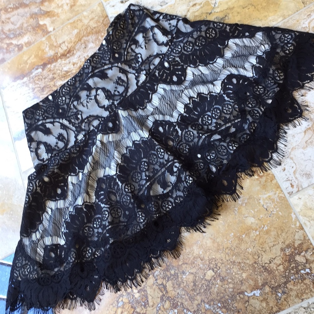 BB Dakota super sexy lace flared mini/zipper back